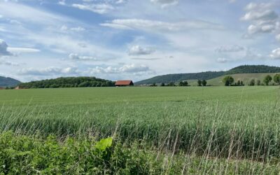 PV-Alleenfeld: Es geht weiter!